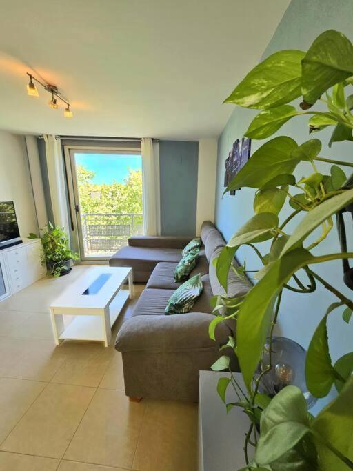 Pont De Ferro Sun Flat Apartment Benicassim Exterior photo